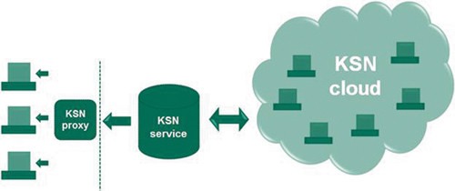 Применение KSN в организации